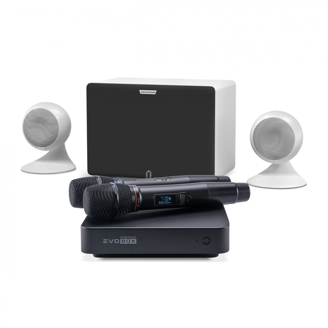 караоке-комплект EVOBOX Classic + EvoSound Sphere 2.1 в Красногорске