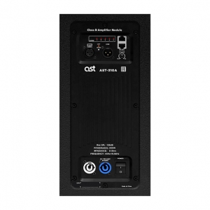 Активная акустическая система AST-310A в Красногорске