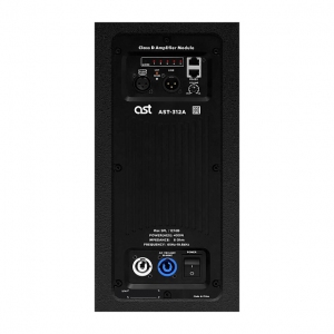 Активная акустическая система AST-312A в Красногорске
